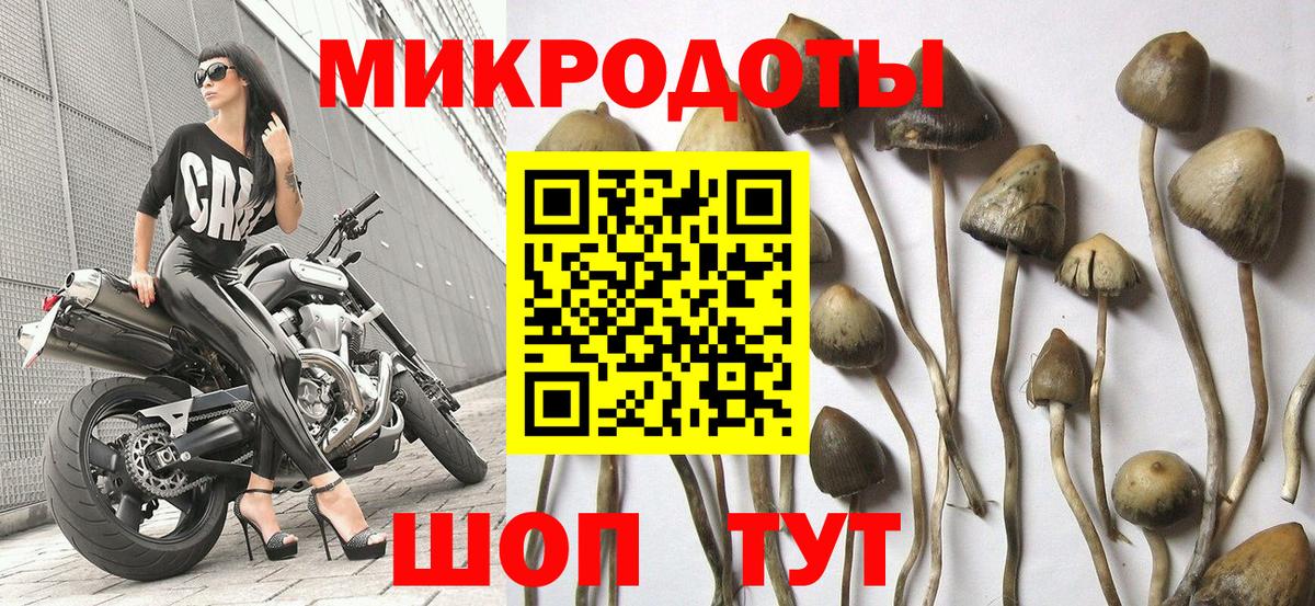Галлюциногенные грибы Psilocybe  наркошоп  Видное  Вход с VPN 