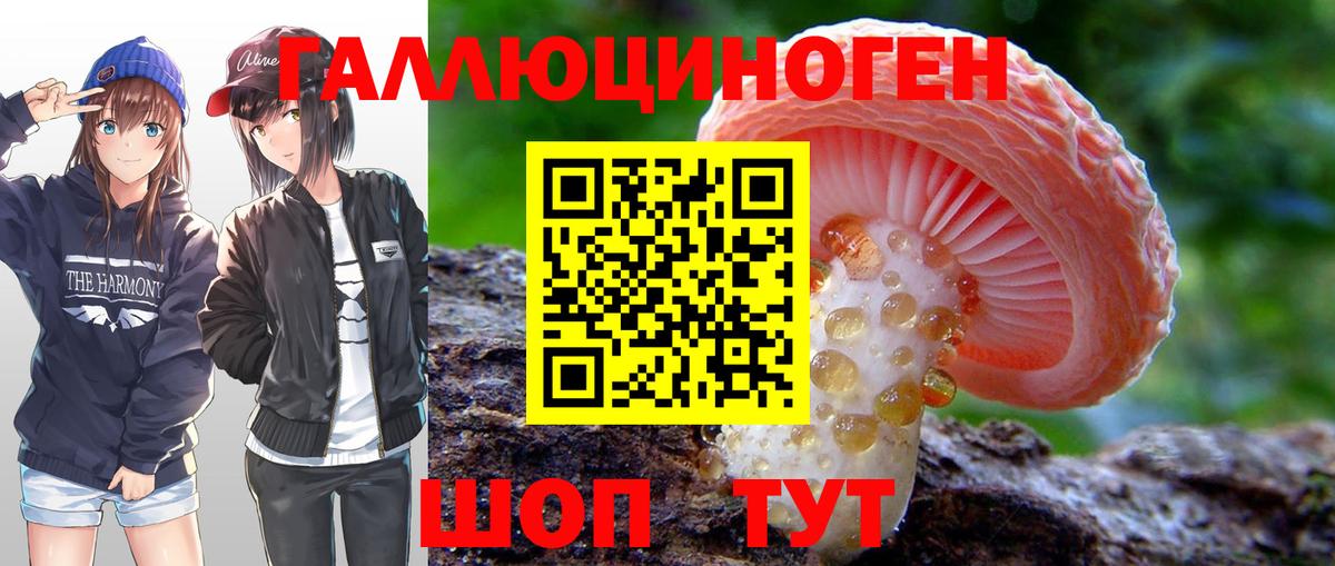 Псилоцибиновые грибы Cubensis Видное