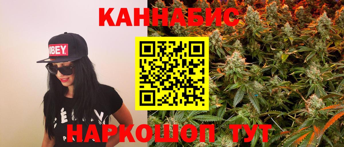 Бошки марихуана план  Вход с VPN  Каннабис White Widow  МАРИХУАНА SATIVA & INDICA  Канабис White Widow  Видное 